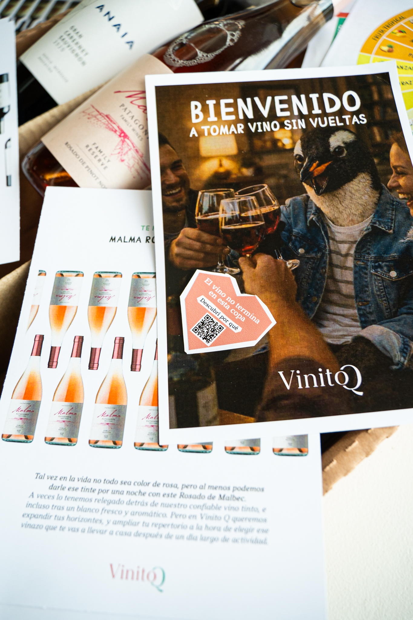 Selección de vinos Vinito Q