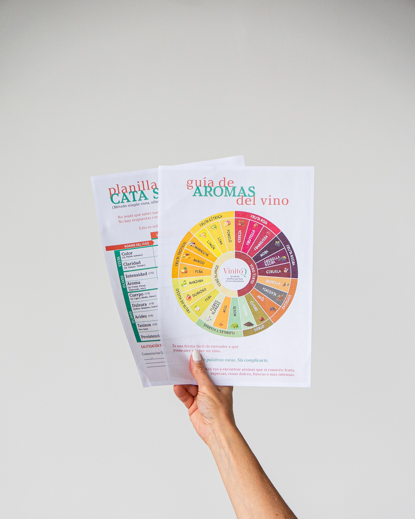 Guía de aromas y planilla de cata de Vinito Q